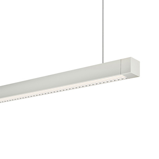 Zipp Suspension br   Downlight   End Feed br   with Remote Power